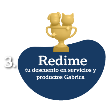 Logo Gabrica