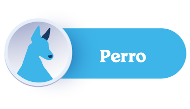 Gabrica | Escuela Padres de Mascota