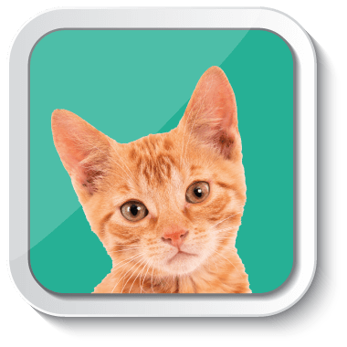 Gabrica | Escuela Padres de Mascota