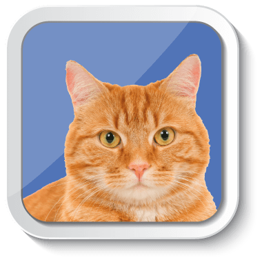 Gabrica | Escuela Padres de Mascota