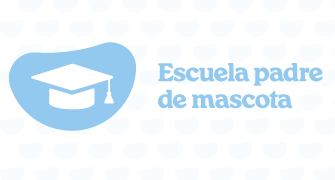Gabrica | Escuela Padres de Mascota