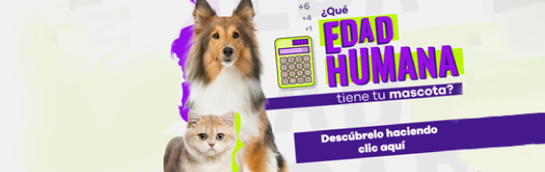 Gabrica | Calculadora Edad Mascota
