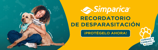 Gabrica | Simparica Desparasitación