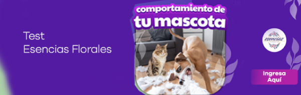 Gabrica | Test Esencias Florales