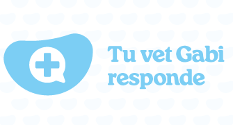 Gabrica | Tu Vet Responde