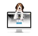 Placa de identificación