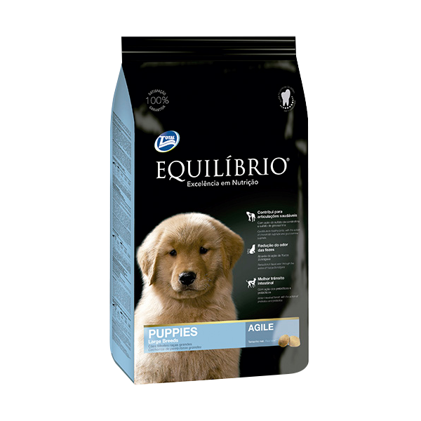 Equilibrio Cachorros Razas grandes Agile