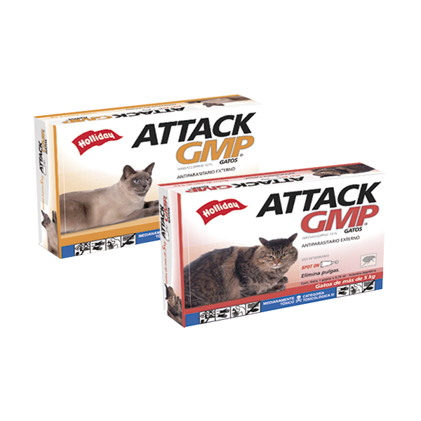 Attack Gatos