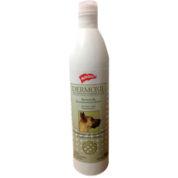 Dermoholliday Shampoo Antiséptico