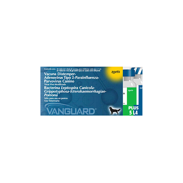 Vanguard Plus 5 L4