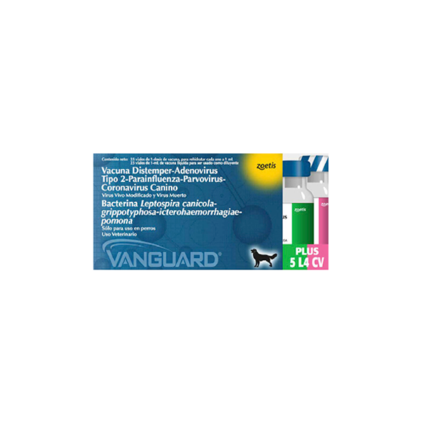 Vanguard Plus 5  L4 – CV