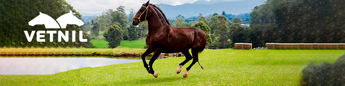 Vetnil Equinos