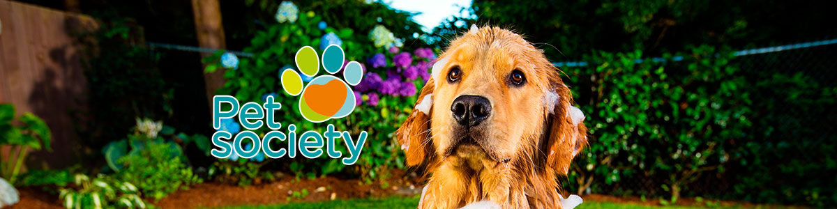 Pet Society