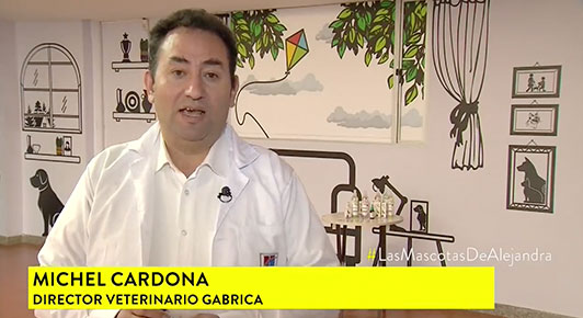 Gabrica | #LasMascotasdeAlejandra: Esencias Florales en las mascotas