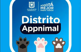 cómo ser voluntario de los hogares de paso para los peludo