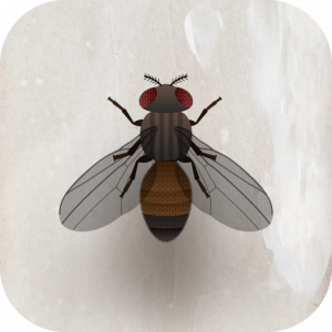 nuevos juegos para gato 