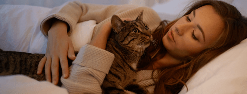 Historia de los gatos