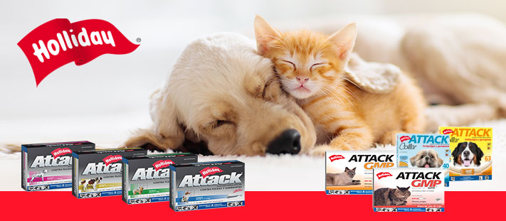Desparasitar a tu mascota contra parásitos externo (pulgas y garrapatas) con Attack perros y gatos