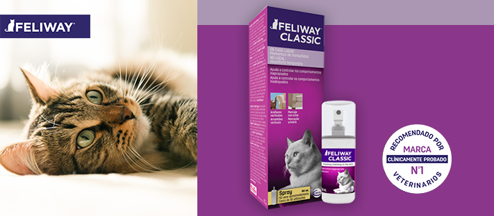 Feliway, Feromonas Sintéticas