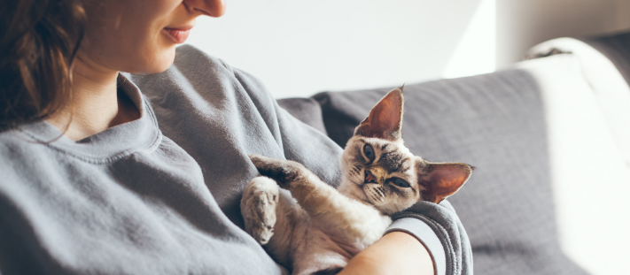 Gatito en brazos de su dueña, reforzando el vínculo y la seguridad.