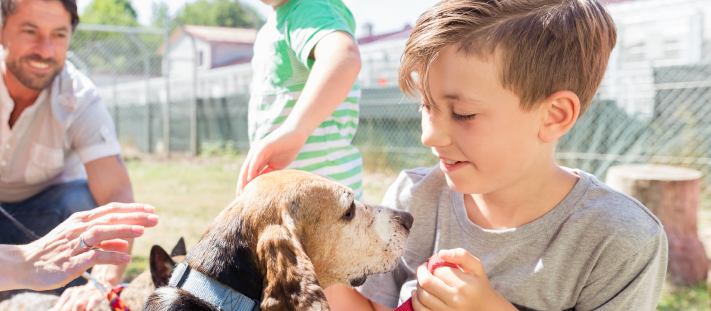 Niño compartiendo tiempo de calidad con su perro para reducir la ansiedad.