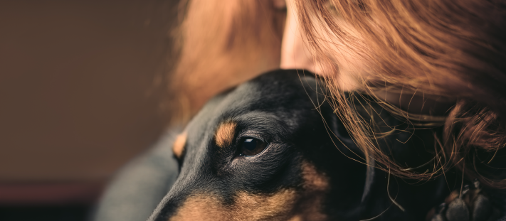Perro recibiendo cariño de su tutor como apoyo frente a la ansiedad.