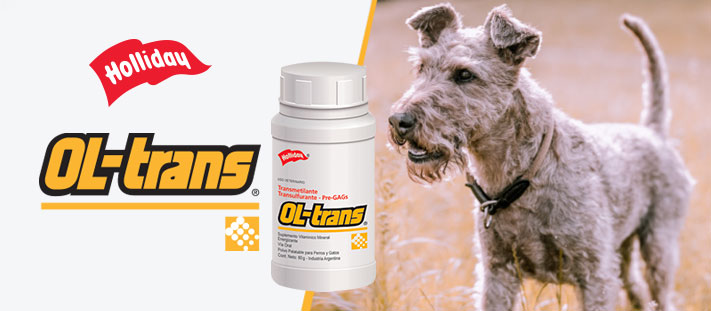 Ol Trans Condroprotector Perros