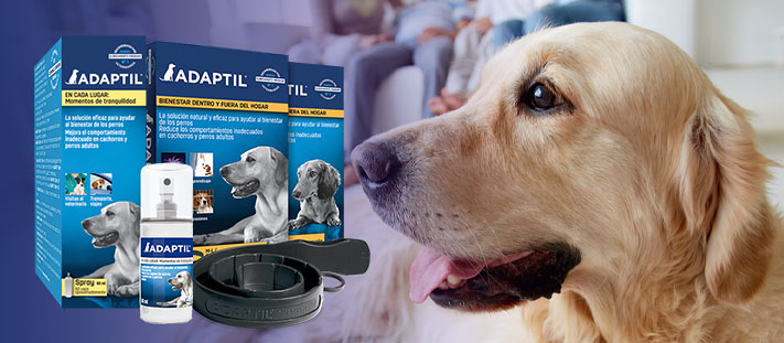 Adaptil Feromonas para dejar a tu perro solo en casa sin causarle estrés