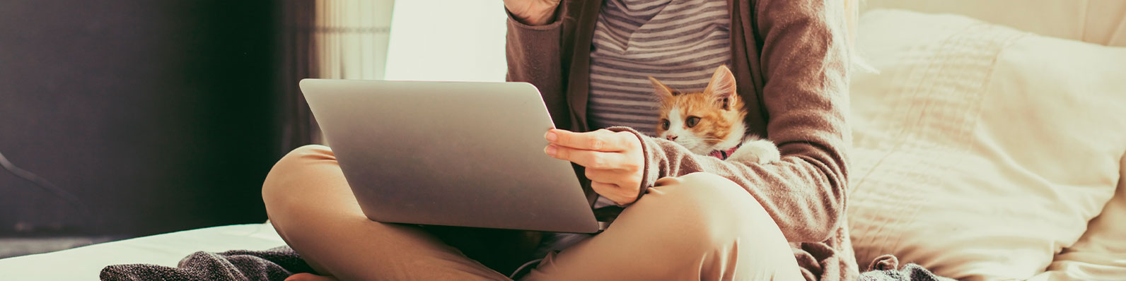 Gato duerme sobre ti