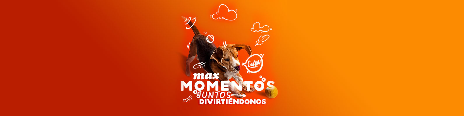 Perro activo y feliz gracias al concentrado para perros Max