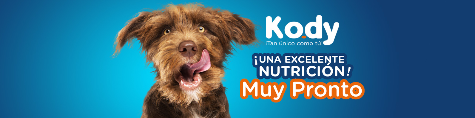 Lanzamiento de KODY, comida para perros adultos con excelente nutrición.