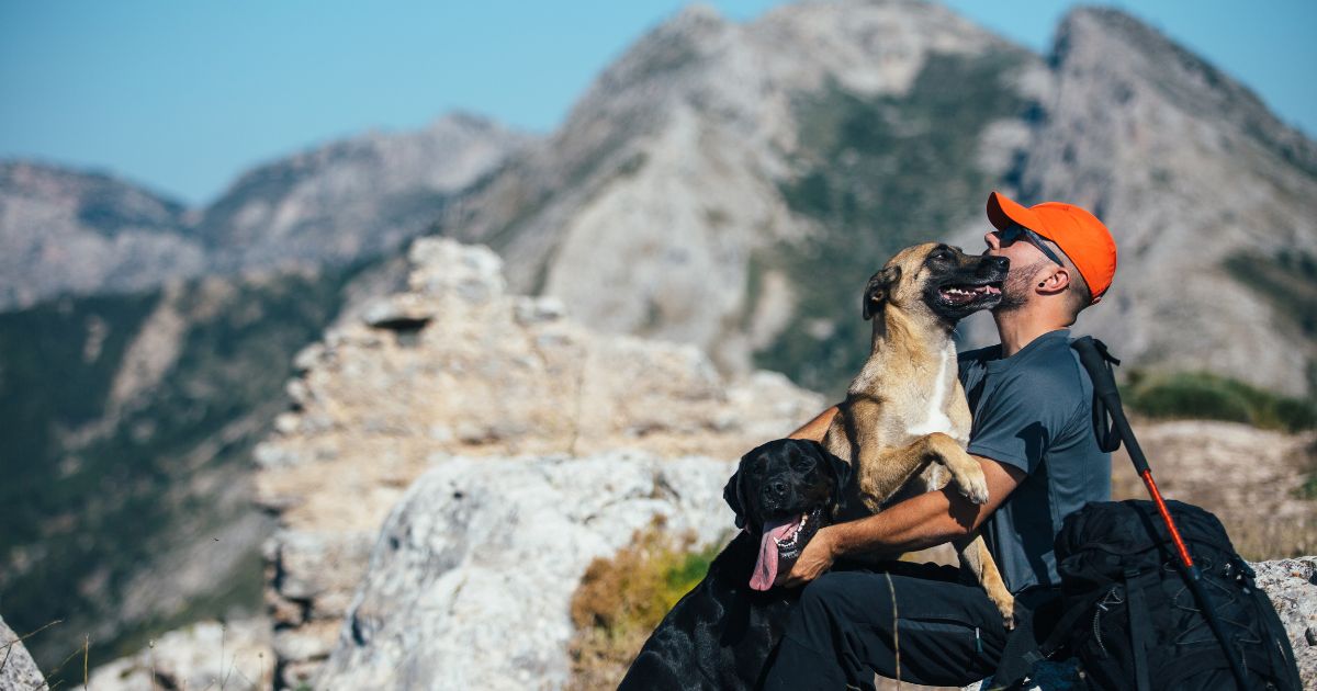  senderismo con perros en un paisaje montañoso. 
