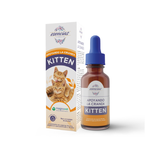 El Camino De La Vida aApoyando La Crianza – Kitten Gato