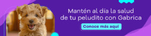 salud-de-tu-perro-cta