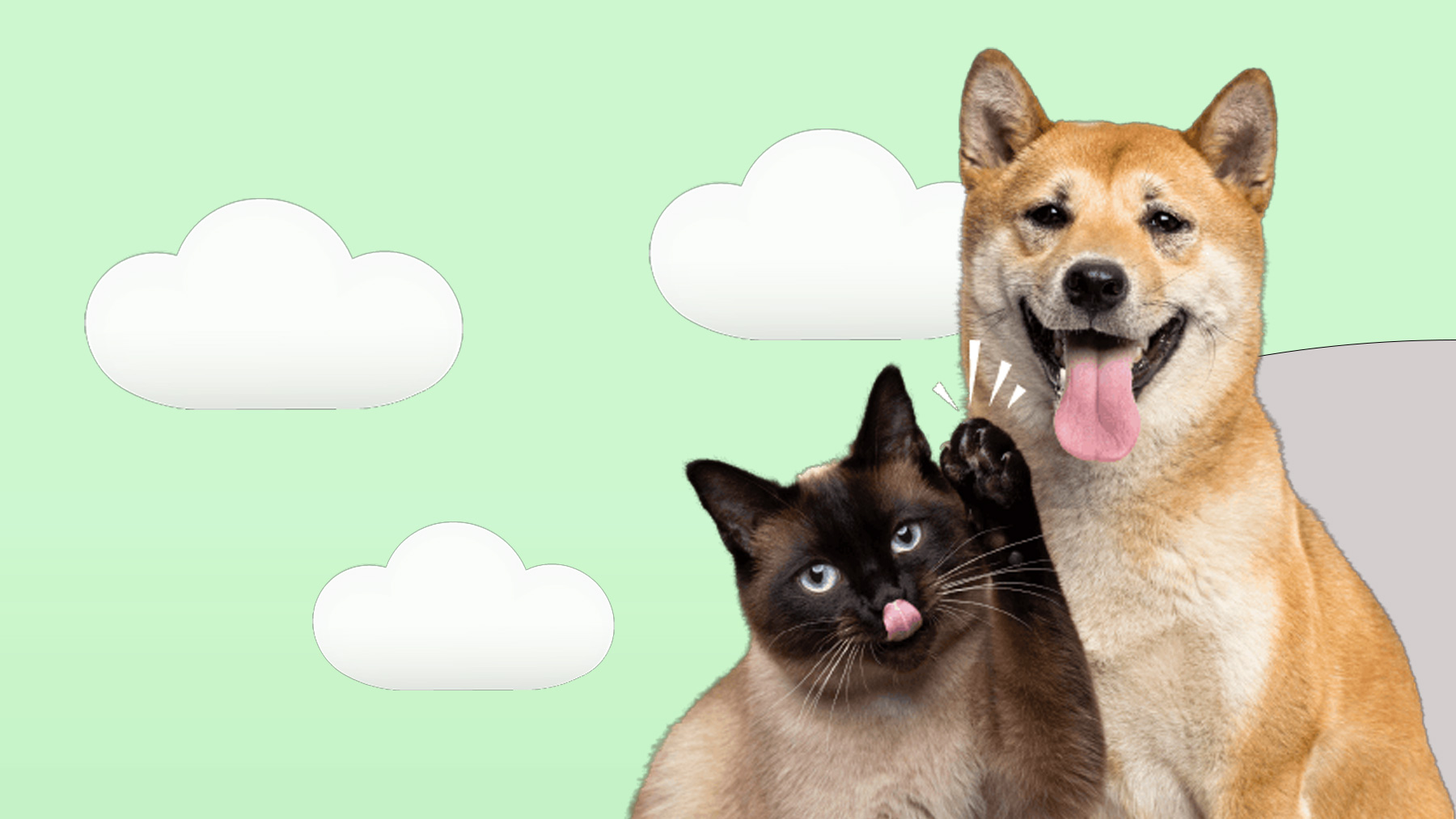 Gabrica | 5 Libertades de las mascota Adulto