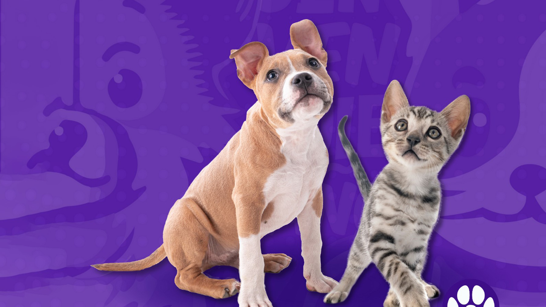 Gabrica | Adiestramiento en cachorros