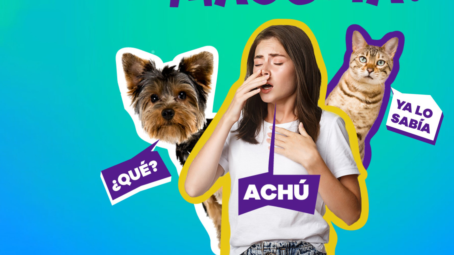 Gabrica | Alergias & Mascotas