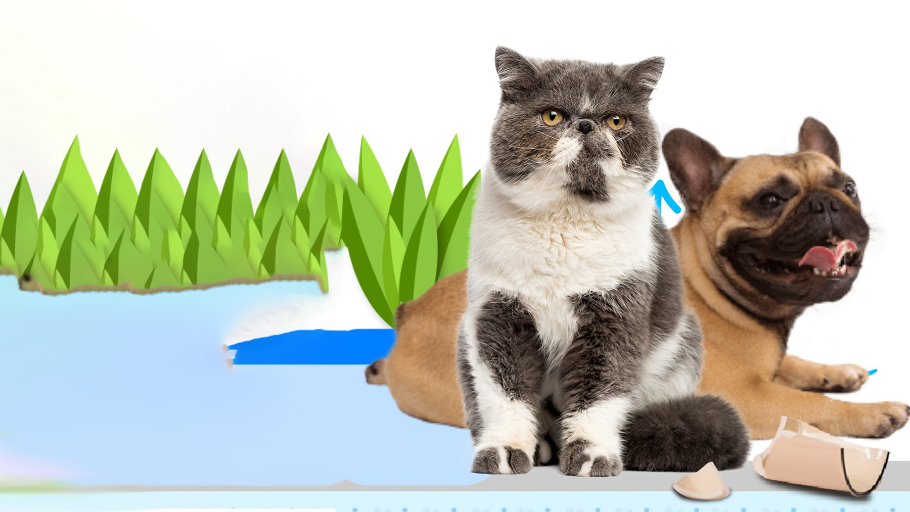 Gabrica | CheckList ansiedad por separación