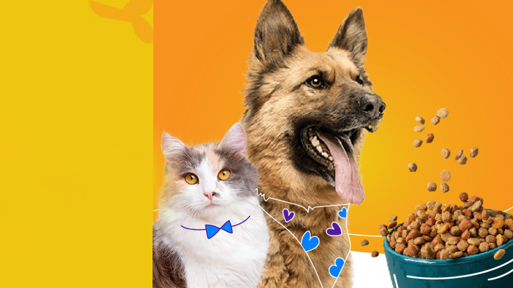 Gabrica | Cómo complementar la alimentación de mi adulto mayor