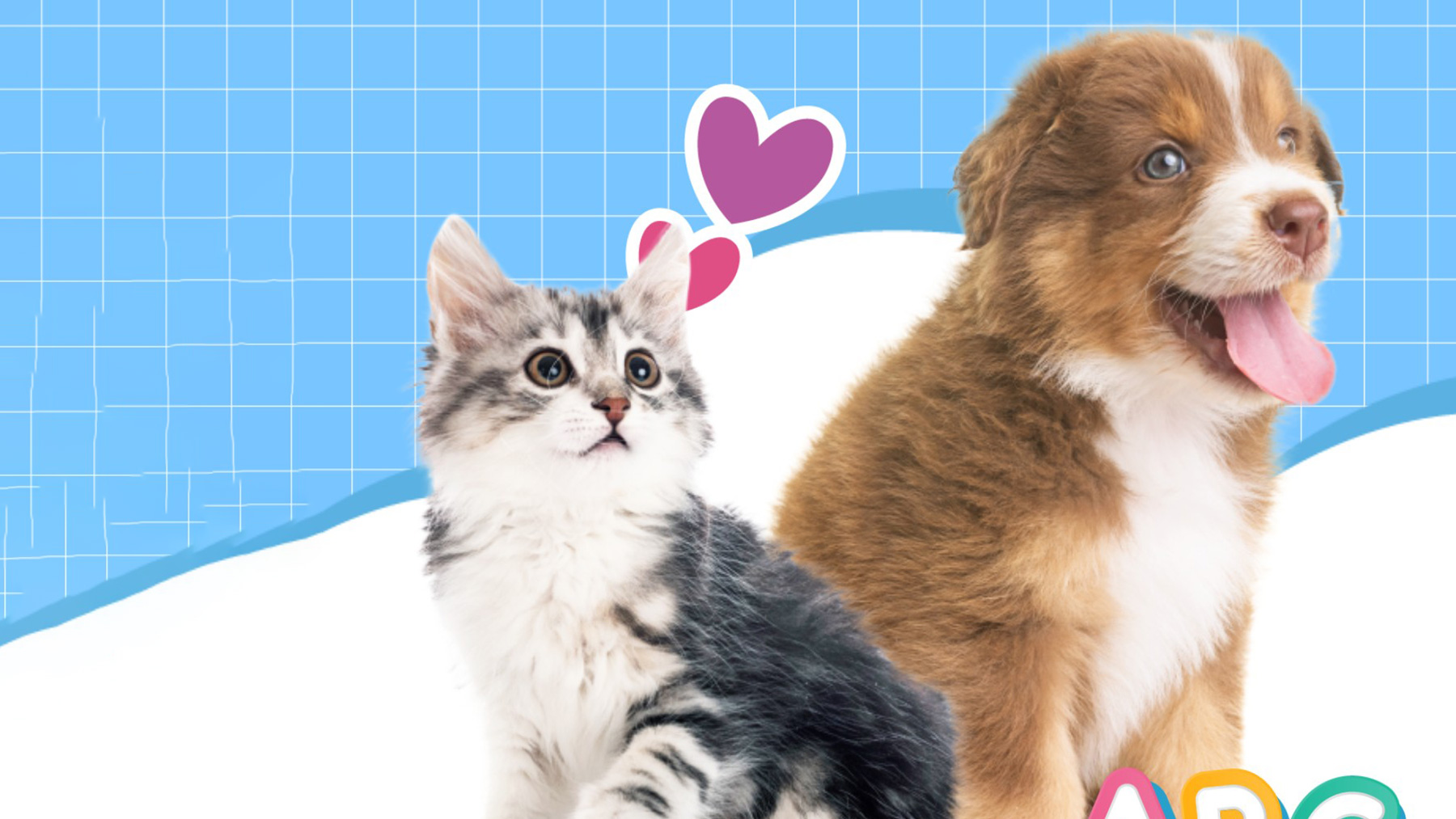 Gabrica | ¿Cómo rescatar un perro o gato en situación de calle?