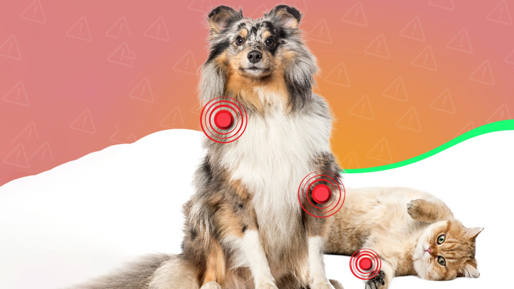 Gabrica | Dolor articular en mascotas mayores