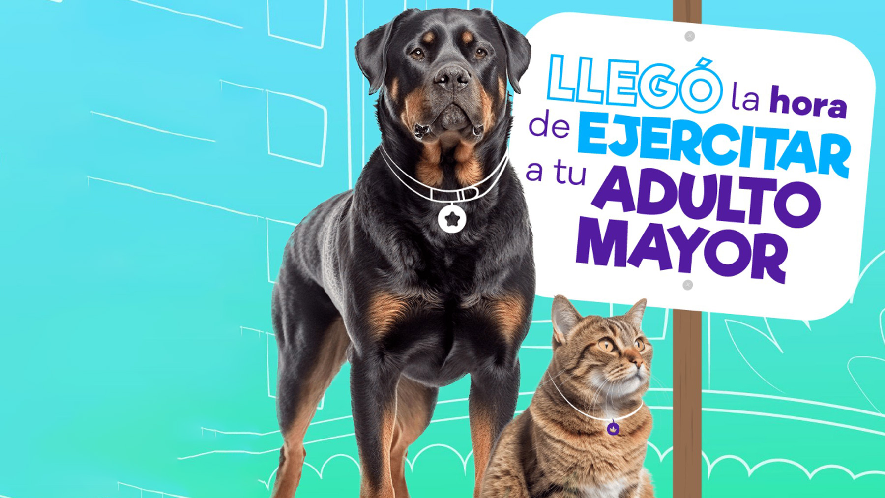 Gabrica | Ejercicios para adulto mayor