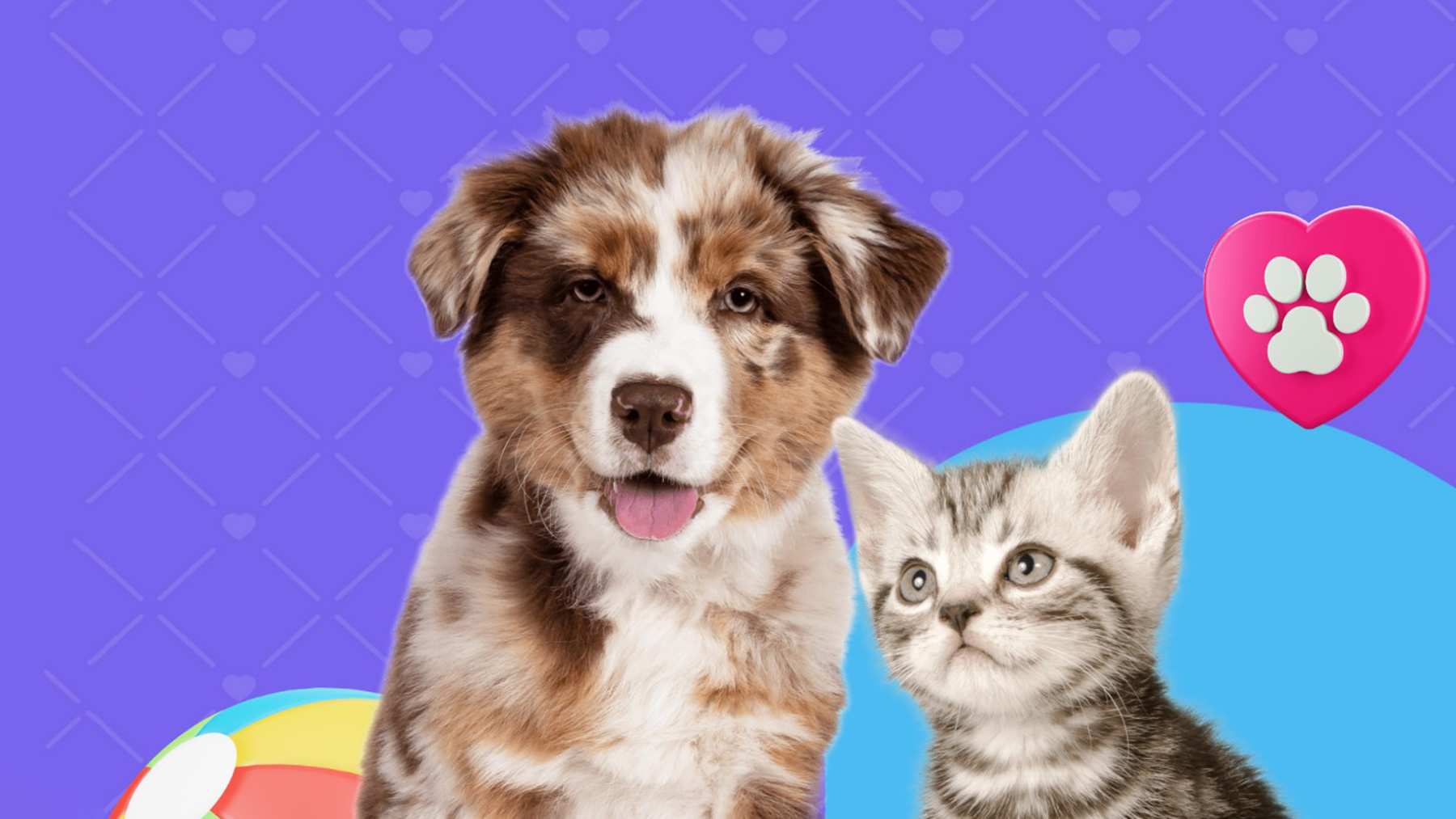 Gabrica | Enriquecimiento ambiental en cachorros