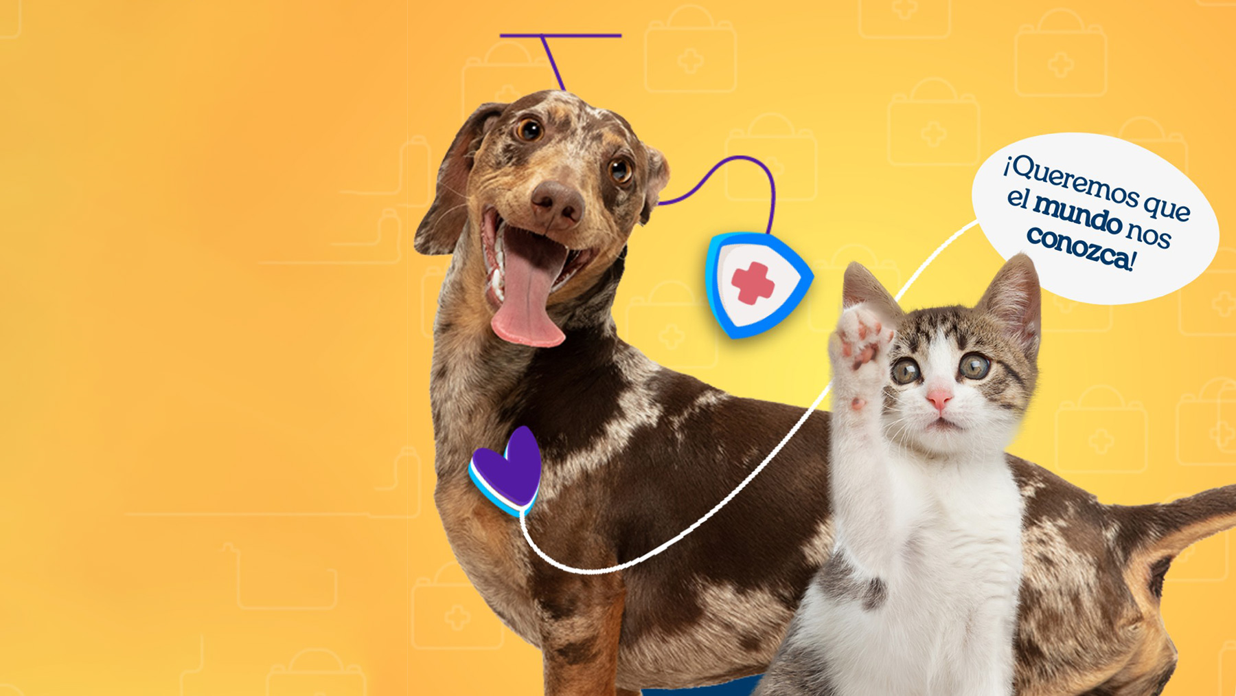 Gabrica | GUÍA de Esterilización en adultos