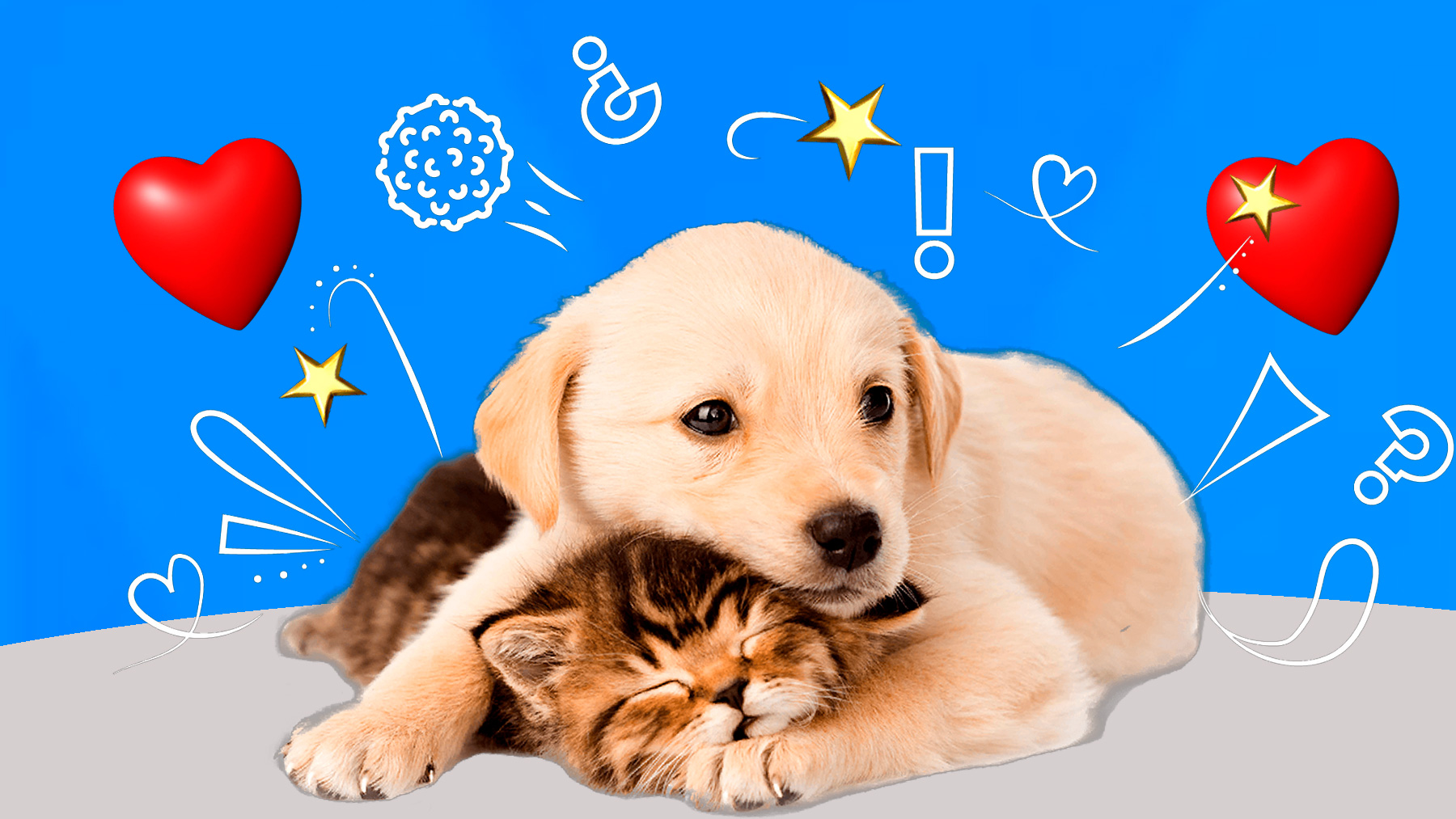 Gabrica | GUÍA de cuidados del verdadero amor