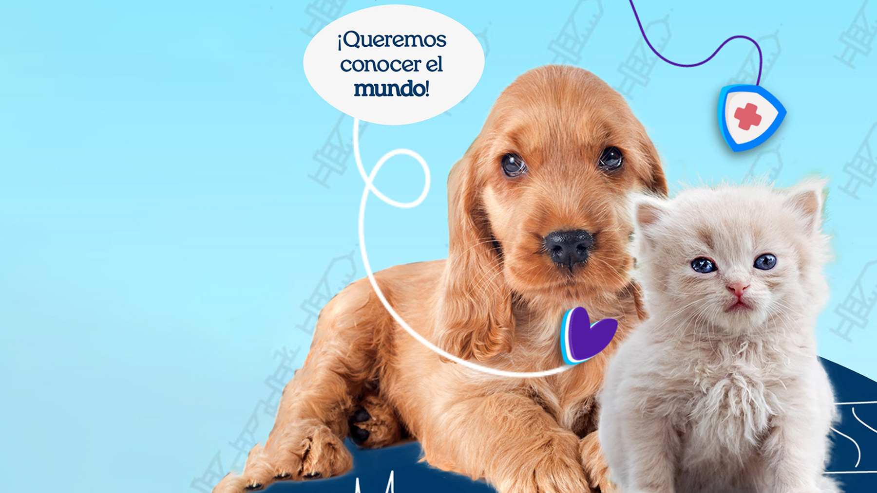 Gabrica | GUÍA de esterilización en cachorros