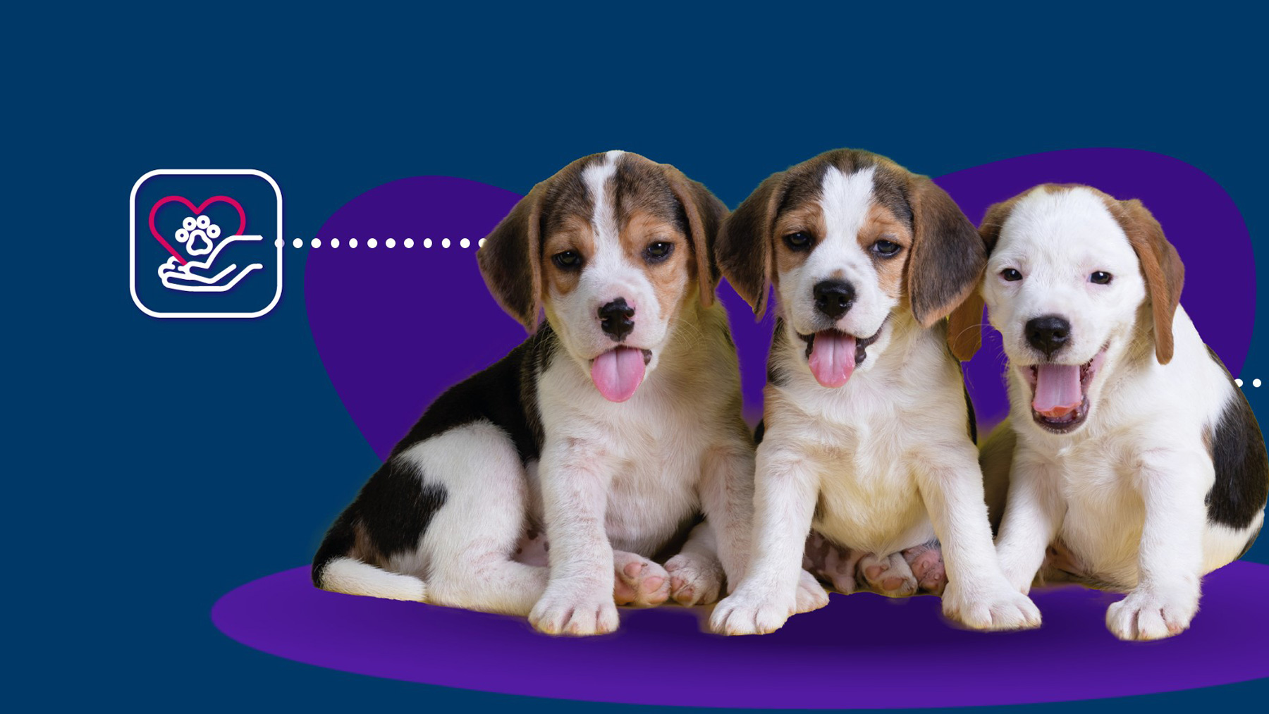 Gabrica | Guía Parvovirosis canina