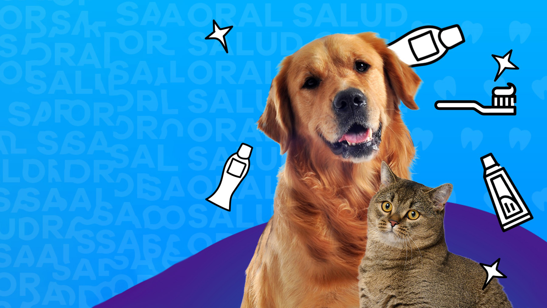 Gabrica | Guía cuidado oral en adultos mayores