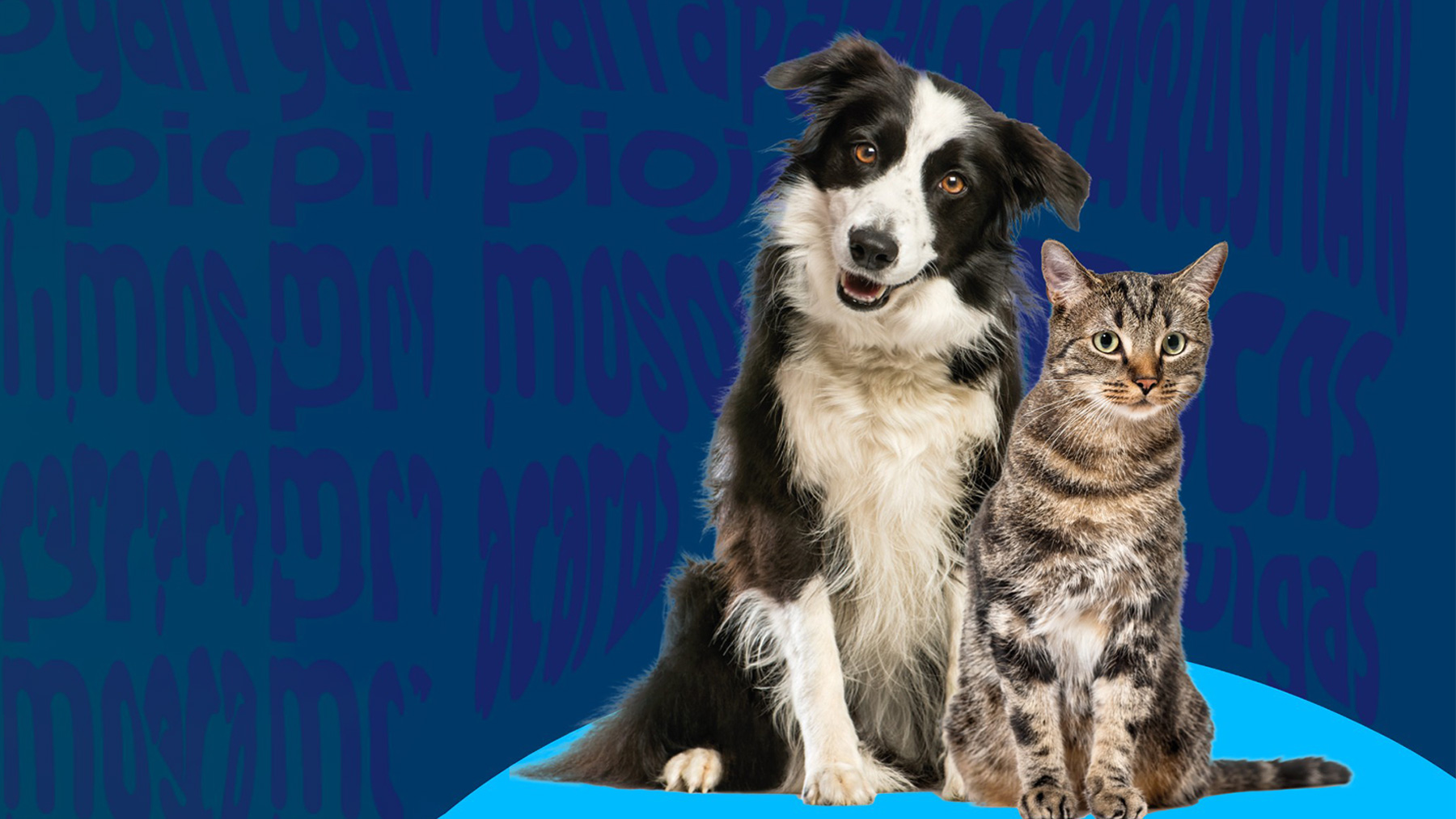 Gabrica | Guía de Desparasitación adultos