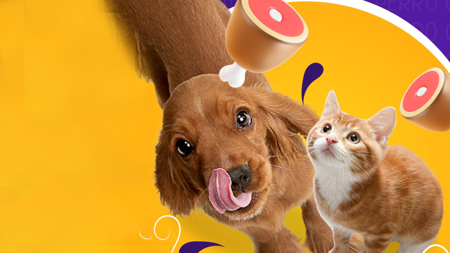 Gabrica | Guía de inapetencia en cachorros